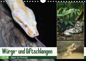 Würge- und Giftschlangen (Wandkalender 2018 DIN A4 quer) von N.,  N.