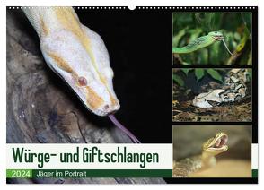 Würge- und Giftschlangen (Wandkalender 2024 DIN A2 quer), CALVENDO Monatskalender