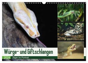 Würge- und Giftschlangen (Wandkalender 2024 DIN A3 quer), CALVENDO Monatskalender