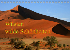 Wüsten, wilde Schönheiten (Tischkalender 2022 DIN A5 quer) von Müller,  Erika