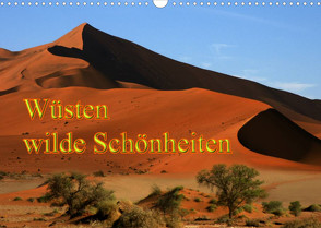 Wüsten, wilde Schönheiten (Wandkalender 2022 DIN A3 quer) von Müller,  Erika