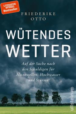 Wütendes Wetter von Otto,  Friederike, von Brackel,  Benjamin