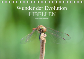 Wunder der Evolution Libellen (Tischkalender 2021 DIN A5 quer) von Schröder,  Diana