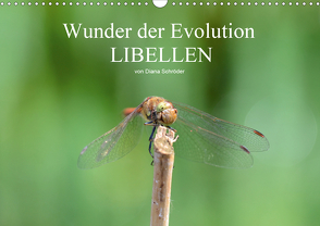 Wunder der Evolution Libellen (Wandkalender 2021 DIN A3 quer) von Schröder,  Diana