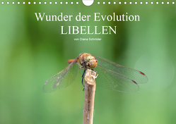 Wunder der Evolution Libellen (Wandkalender 2021 DIN A4 quer) von Schröder,  Diana