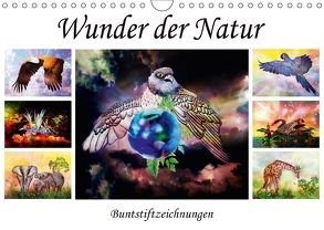 Wunder der Natur – Buntstiftzeichnungen (Wandkalender 2018 DIN A4 quer) von Djeric,  Dusanka