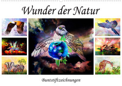 Wunder der Natur – Buntstiftzeichnungen (Wandkalender 2022 DIN A2 quer) von Djeric,  Dusanka