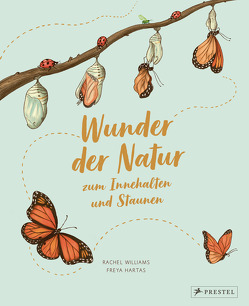 Wunder der Natur zum Innehalten und Staunen von Hartas,  Freya, Köller,  Kathrin, Williams,  Rachel