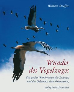 Wunder des Vogelzuges von Streffer,  Walther