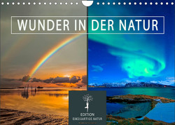 Wunder in der Natur (Wandkalender 2022 DIN A4 quer) von Roder,  Peter