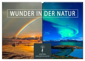 Wunder in der Natur (Wandkalender 2024 DIN A2 quer), CALVENDO Monatskalender von Roder,  Peter