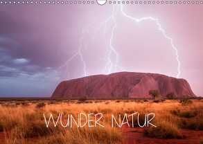 Wunder Natur II (Wandkalender 2019 DIN A3 quer) von Schaarschmidt,  Christoph