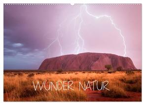 Wunder Natur II (Wandkalender 2024 DIN A2 quer), CALVENDO Monatskalender von Schaarschmidt,  Christoph
