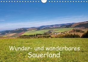 Wunder- und wanderbares Sauerland (Wandkalender 2018 DIN A4 quer) von Dürr,  Brigitte