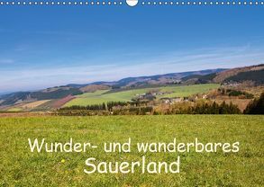 Wunder- und wanderbares Sauerland (Wandkalender 2019 DIN A3 quer) von Dürr,  Brigitte