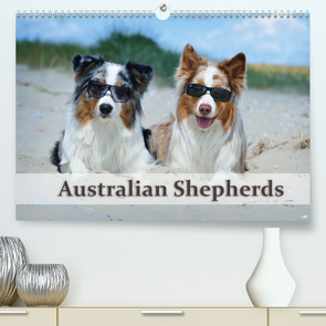 Wunderbare Australian Shepherds (Premium, hochwertiger DIN A2 Wandkalender 2021, Kunstdruck in Hochglanz) von Bildarchiv - Nicole Noack,  Trio