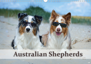 Wunderbare Australian Shepherds (Wandkalender 2021 DIN A3 quer) von Bildarchiv - Nicole Noack,  Trio