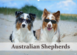 Wunderbare Australian Shepherds (Wandkalender 2022 DIN A2 quer) von Bildarchiv - Nicole Noack,  Trio