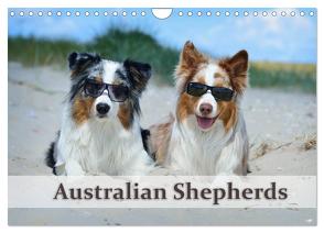Wunderbare Australian Shepherds (Wandkalender 2024 DIN A4 quer), CALVENDO Monatskalender von Bildarchiv - Nicole Noack,  Trio