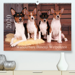 Wunderbare Basenji Welpenzeit (Premium, hochwertiger DIN A2 Wandkalender 2020, Kunstdruck in Hochglanz) von Joswig,  Angelika
