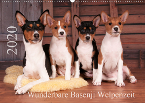 Wunderbare Basenji Welpenzeit (Wandkalender 2020 DIN A2 quer) von Joswig,  Angelika