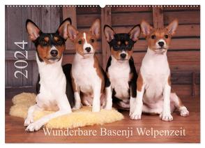 Wunderbare Basenji Welpenzeit (Wandkalender 2024 DIN A2 quer), CALVENDO Monatskalender von Joswig,  Angelika