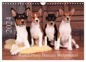 Wunderbare Basenji Welpenzeit (Wandkalender 2024 DIN A4 quer), CALVENDO Monatskalender von Joswig,  Angelika