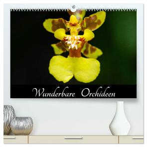 Wunderbare Orchideen (hochwertiger Premium Wandkalender 2024 DIN A2 quer), Kunstdruck in Hochglanz von Woehlke,  Juergen