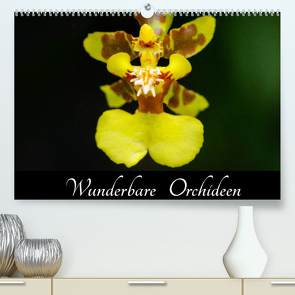 Wunderbare Orchideen (Premium, hochwertiger DIN A2 Wandkalender 2022, Kunstdruck in Hochglanz) von Woehlke,  Juergen