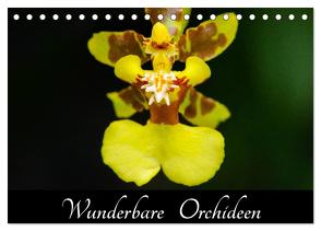 Wunderbare Orchideen (Tischkalender 2024 DIN A5 quer), CALVENDO Monatskalender von Woehlke,  Juergen