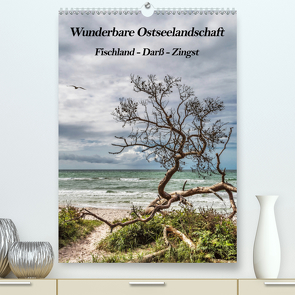 Wunderbare Ostseelandschaft Fischland-Darß-Zingst (Premium, hochwertiger DIN A2 Wandkalender 2021, Kunstdruck in Hochglanz) von Thomas,  Natalja