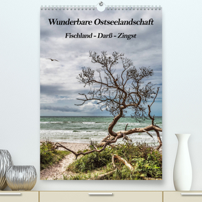 Wunderbare Ostseelandschaft Fischland-Darß-Zingst (Premium, hochwertiger DIN A2 Wandkalender 2023, Kunstdruck in Hochglanz) von Thomas,  Natalja