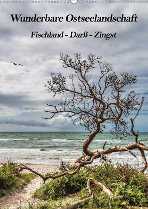 Wunderbare Ostseelandschaft Fischland-Darß-Zingst (Wandkalender 2021 DIN A2 hoch) von Thomas,  Natalja