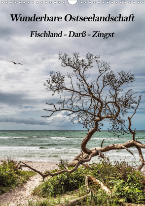 Wunderbare Ostseelandschaft Fischland-Darß-Zingst (Wandkalender 2021 DIN A3 hoch) von Thomas,  Natalja