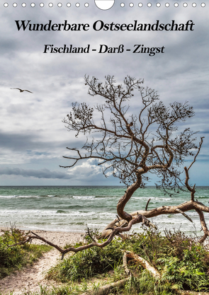 Wunderbare Ostseelandschaft Fischland-Darß-Zingst (Wandkalender 2021 DIN A4 hoch) von Thomas,  Natalja