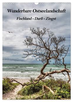 Wunderbare Ostseelandschaft Fischland-Darß-Zingst (Wandkalender 2024 DIN A3 hoch), CALVENDO Monatskalender von Thomas,  Natalja