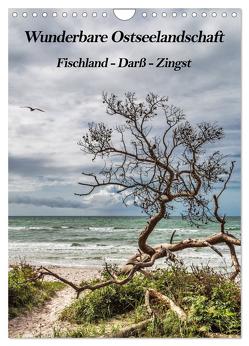 Wunderbare Ostseelandschaft Fischland-Darß-Zingst (Wandkalender 2024 DIN A4 hoch), CALVENDO Monatskalender von Thomas,  Natalja