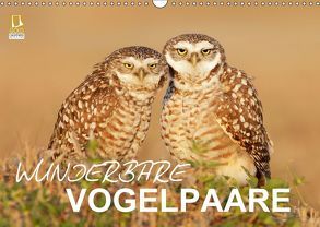Wunderbare Vogelpaare (Wandkalender 2018 DIN A3 quer) von birdimagency.com