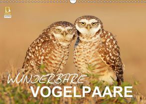 Wunderbare Vogelpaare (Wandkalender 2019 DIN A3 quer) von birdimagency.com