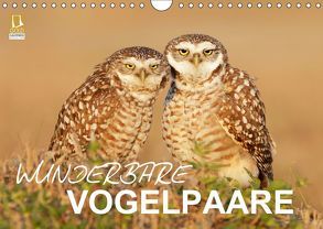 Wunderbare Vogelpaare (Wandkalender 2019 DIN A4 quer) von birdimagency.com
