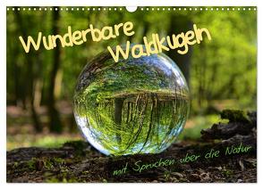 Wunderbare Waldkugeln (Wandkalender 2024 DIN A3 quer), CALVENDO Monatskalender von Stark-Hahn,  Ilona