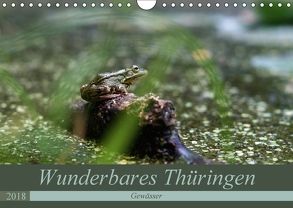 Wunderbares Thüringen – Gewässer (Wandkalender 2018 DIN A4 quer) von Flori0