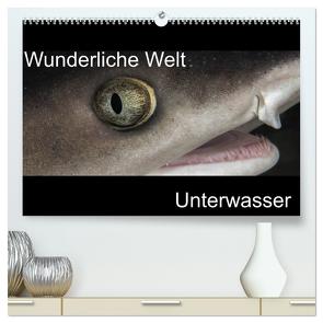 Wunderliche Welt Unterwasser (hochwertiger Premium Wandkalender 2024 DIN A2 quer), Kunstdruck in Hochglanz von Bucher,  Markus