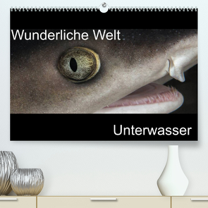 Wunderliche Welt Unterwasser (Premium, hochwertiger DIN A2 Wandkalender 2022, Kunstdruck in Hochglanz) von Bucher,  Markus