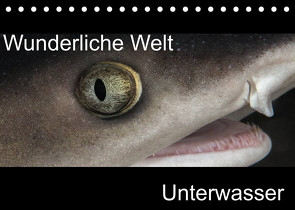 Wunderliche Welt Unterwasser (Tischkalender 2023 DIN A5 quer) von Bucher,  Markus