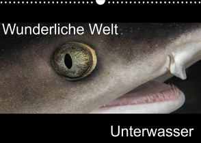 Wunderliche Welt Unterwasser (Wandkalender 2022 DIN A3 quer) von Bucher,  Markus