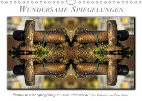 Wundersame Spiegelungen (Wandkalender 2019 DIN A4 quer) von Roder,  Peter