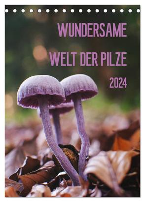 Wundersame Welt der Pilze (Tischkalender 2024 DIN A5 hoch), CALVENDO Monatskalender von Naumann,  Conny