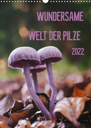 Wundersame Welt der Pilze (Wandkalender 2022 DIN A3 hoch) von Naumann,  Conny