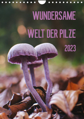 Wundersame Welt der Pilze (Wandkalender 2023 DIN A4 hoch) von Naumann,  Conny